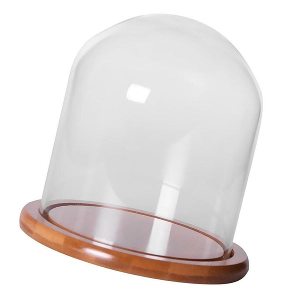 Glass Display Bell Jar Dome Cloche With Bamboo Base Decorative Desk Stand S