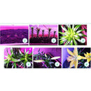 2 Pcs E27 8/10W LED Grow Light Growing Lamp Bulb for Flower Plant Fruit