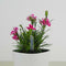 25pcs Water Level Indicator Soil Moisture Meter Humidity Sensor Probe For Plants