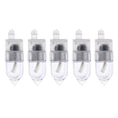 Set Of 5 Sea Carp Coarse Night Fluorescent Fishing Rod Tip LED Lights Clips