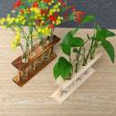 Wall Mounted Hanging Planter Test Tube Flower Vase Tabletop Glass Wood for Home