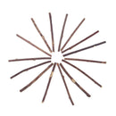 50pcs Natural Fruit Matatabi Cat Snacks Sticks Catnip Pet Cat Molar Rod