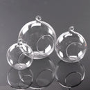 12cm Hanging Flower Plant Garden Vase Bottle Hydroponic Terrarium Container