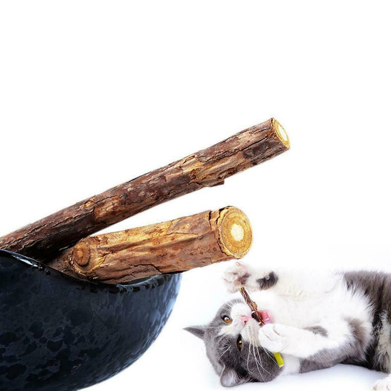 Pet Cat Snacks Matatabi Chew Catnip Stick Teeth Molar Tool Brush Cleaning A2L5