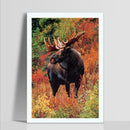 5D DIY Full Drill Diamond Painting Cross Stitch Embroidery (Animal-W166)
