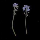 20x Pressed/Dried Flowers Forget me not Scrapbooking Art Craft DIY Materials