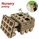 Home Peat Pots 12 Holes Biodegradable Flowers Garden Tool Seed Starter Tray Set