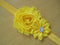 10 x Girl Newborn Baby Toddler Infant Flower Headband Hair Bow Band Photo Props