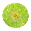 Organic Natural Hair Nourishing Solid Shampoo Soap Bar Polygonum Multiflorum