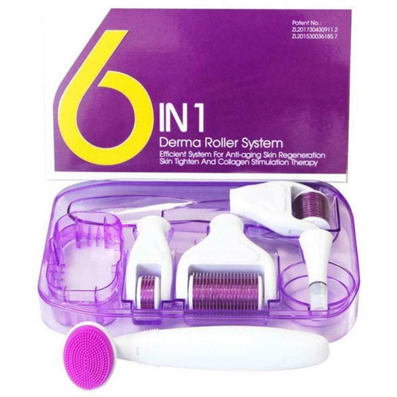 6 in 1 Derma Roller Titanium Needle Skin Care Kit Micro Needle for Face and Body