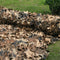 1.5Mx6M Camouflage Nets Tent Camping for Car Desert Hunting Netting Without T5T2