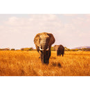 1000pcs DIY Nature Elephant Puzzle Educational Learning Assembling Toys