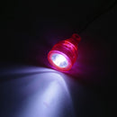 LED Desk Lamp USB Beside Clip  Bed Flexible Clip on Reading Book Tabl Supply