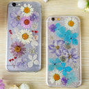 24pcs Natural Violet Real Dried Flowers Embellishments Nail Art Accessories