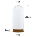 3Pcs(3 Size) Glass Dome Cover Cloche Jar Succulent Terrarium with Wood Cork