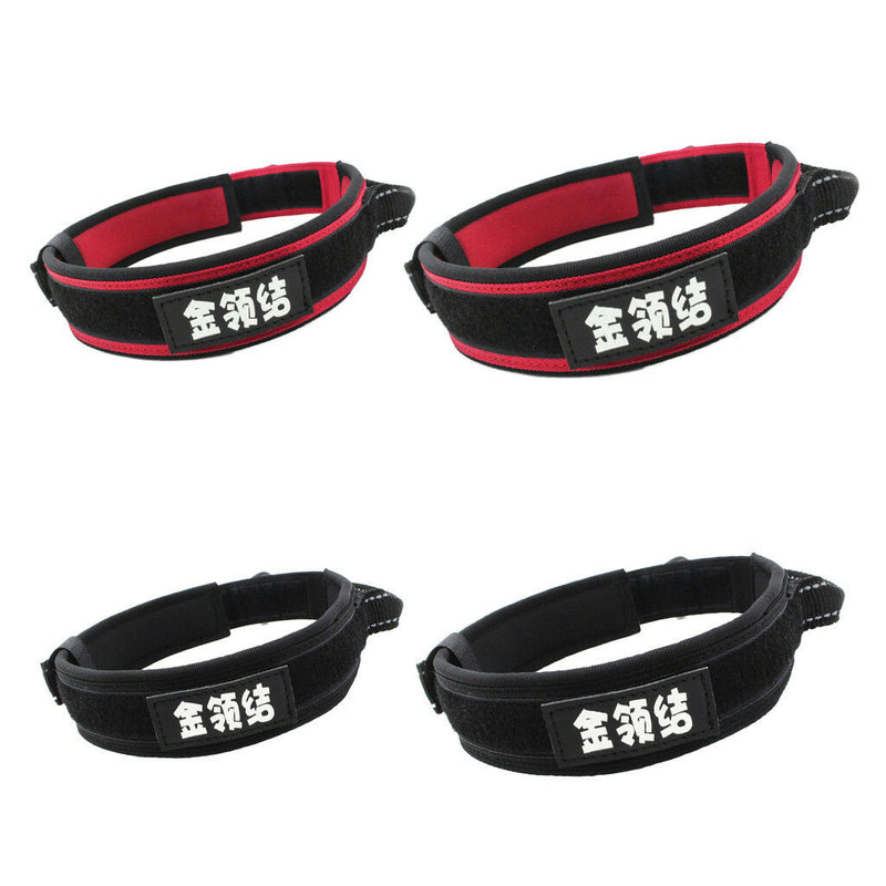 Dog Collar, Feed a Dog Durable Oxford Puppy and Dog Collar with D Ring
