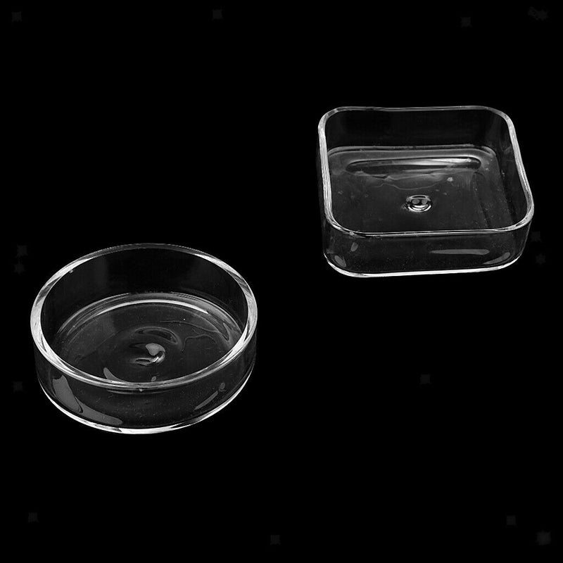 2 Pieces Shrimp Feed Plate Kitchen Accessories Comfortable Glass Material