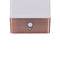 Great Motion Sensor Bedroom Night Light Battery Powered LED Table Lamp