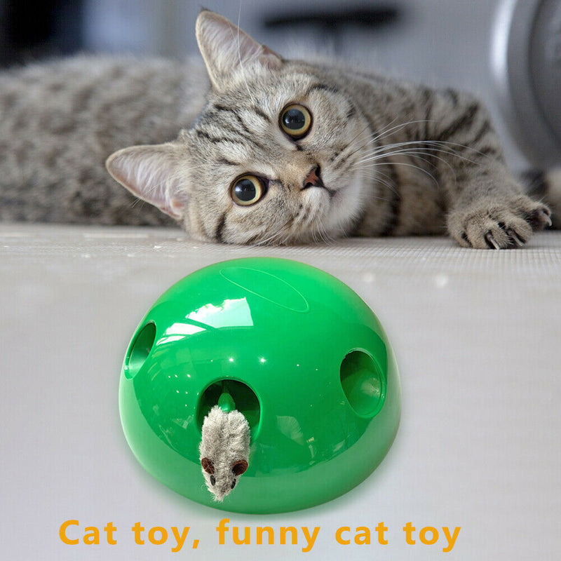 Interactive Pets Cat Toys, Kitten Cat Scratching Games for Indoor Cats