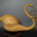 Novelty Speckled Swan Gourd Lagenaria Siceraria Seeds 5Seeds 85% Germination SP