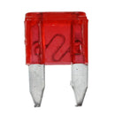 60 x Blade Fuse Plug for Car 5/10/15/20/25/30 Amp F8O1