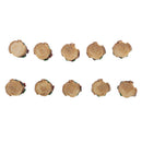 Micro Landscape Bonsai Ornament DIY Home Garden Decor 10 Pcs Mini Tree Stump