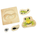 Infant Teaching Aids Toddler Life Cycle Of Puzzles Multi-Layer Grow Up Puzz H8F9