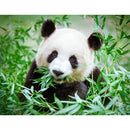 5D DIY Full Drill Diamond Painting Panda Eating Bamboo Cross Stitch Craft A