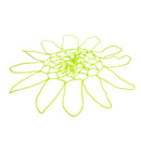 Luminous Bright Color Outdoor Indoor Standard Hoop Replacement Basketball Nets