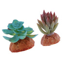 2PCS Aquarium Fish Tank Plants Succulents Reptile Hideaway Decoration - Reptile