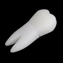 USB memory Memory Stick USB 2.0 compatible white cartoon tooth type 8G cap  M8B3