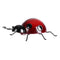 15x 10cm Ladybug Insect Ornament Home Garden Decor Wall Hanging Art Crafts Gift