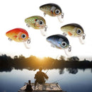 5Pcs/Box Fishing Baits Wobbler Artificial Lure Crankbait 2.7cm1.5G Mini Plastic