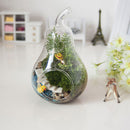 Hot Sell Home Decor Pear Crystal Vase Planter Terrarium Container Hydroponic Pot