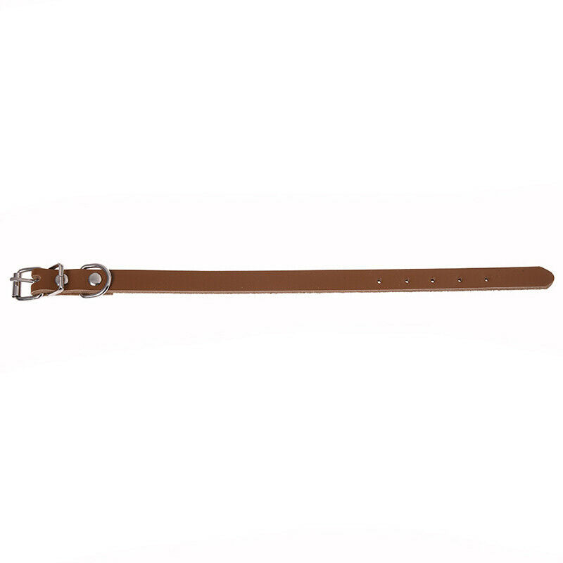 Leather collar for dogs cats puppy animal XS Brown