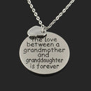 Family Love Necklace The Love Between Grandma and Granddaughter Pendant Jewelry