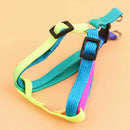 Small Pet Dog Puppy Cat Kitten Harness for Walking Lead Leash Collar AU C1A1