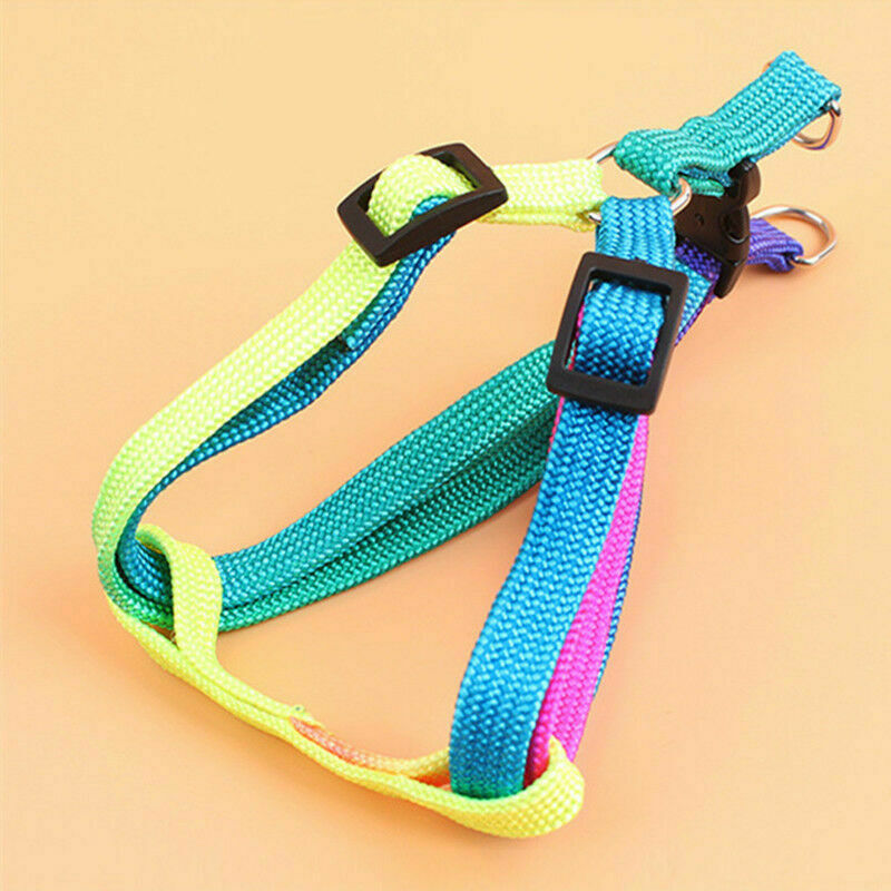 Small Pet Dog Puppy Cat Kitten Harness for Walking Lead Leash Collar AU C1A1