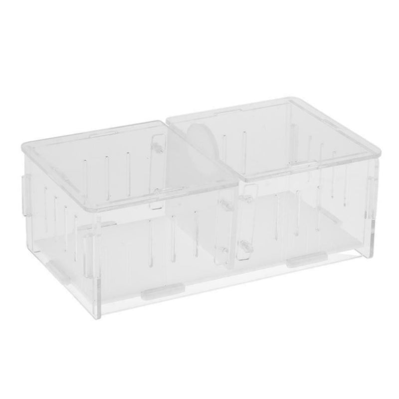 Reptile  Box Amphibian Feeding Container for Spider  Chameleon
