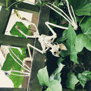 Bat Skeleton Hanging Upside Down Halloween Animal Prop B5O4 Decor House Hau X9T2