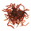 50 Pieces Brown Bionics Lifelike Soft Earthworm Artificial Bait simulation Vivid