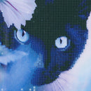 5D DIY Round Drill Diamond Painting Black Cat Cross Stitch Embroidery Craft