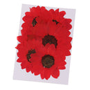 6pcs Pressed Dried Real Flower Sunflower Scrapbooking Embellishments Red