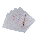 6 Sheets Rewritable Water Writing Chinese Calligraphy Cloth Fabric Resuable