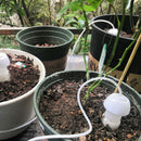 2PCs Automatic Drip Irrigation Seepage Sprinkler for Potted Plant Self Water Kw