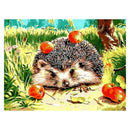 Hedgehog DIY Oil Painting Paint By Number Kit-Animal Theme 16x20 Inch (Fram