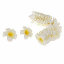 100pcs Frangipani Hawaii Flower Head Foam Decor for Wedding Craft Style Flo N7Y9