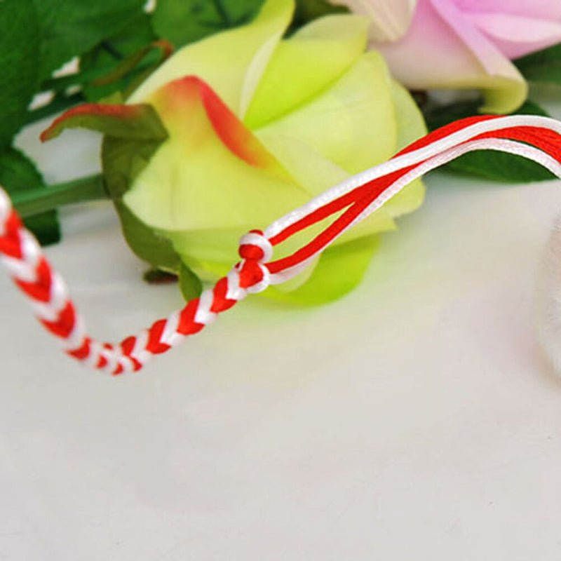 Adjustable Leash Collar Guinea Pig Small Pets Lead Pet Hamster Traction Rope-ME