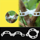Garden Vegetables Tomato Vine Stalks Grow Upright Support Plant Clips Gift V3V5