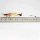Soft Lures Shrimp Bait Set, Freshwater/Saltwater, Trout Bass Salmon, 9 Piec